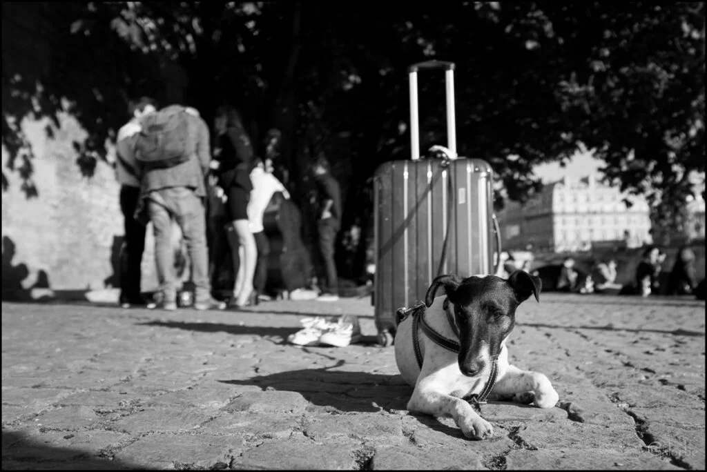 Envie de voyage