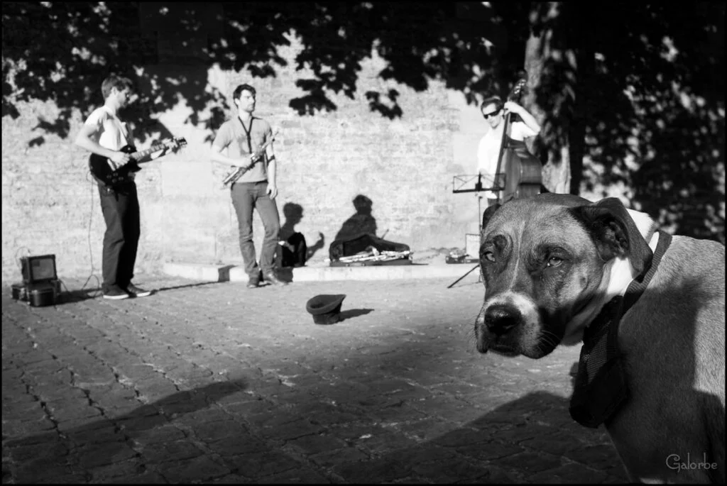 Le jazz, ça me blase