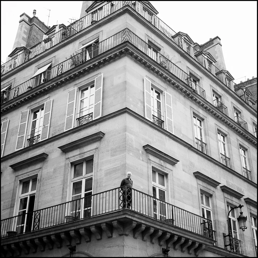 La gargouille